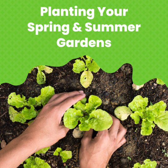 Planting Your Spring & Summer Gardens