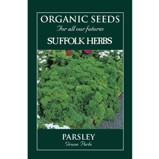 Parsley Grune Perle Organic Seeds