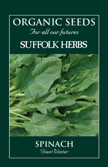 Spinach Giant Winter Organic Seeds