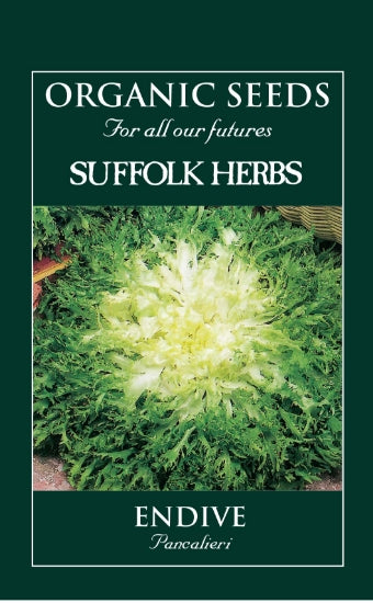 Endive Pancalieri Organic Seeds