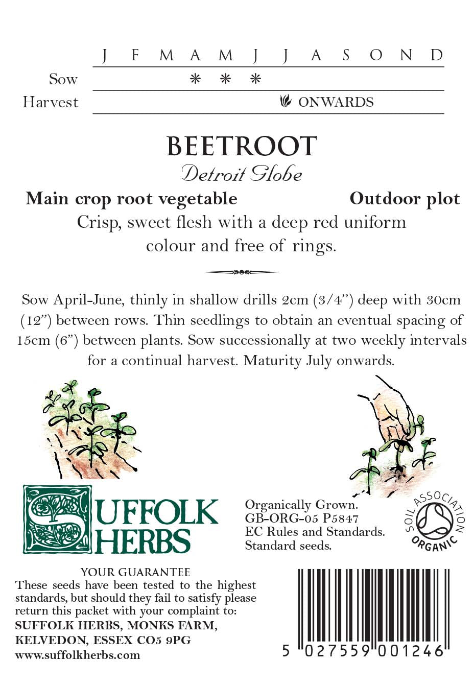 Beetroot (Beta Vulgaris) Detroit Organic Seeds