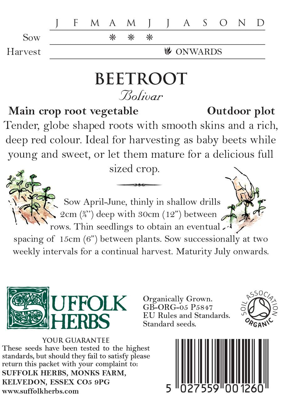 Beetroot (Beta Vulgaris) Bolivar Organic Seeds