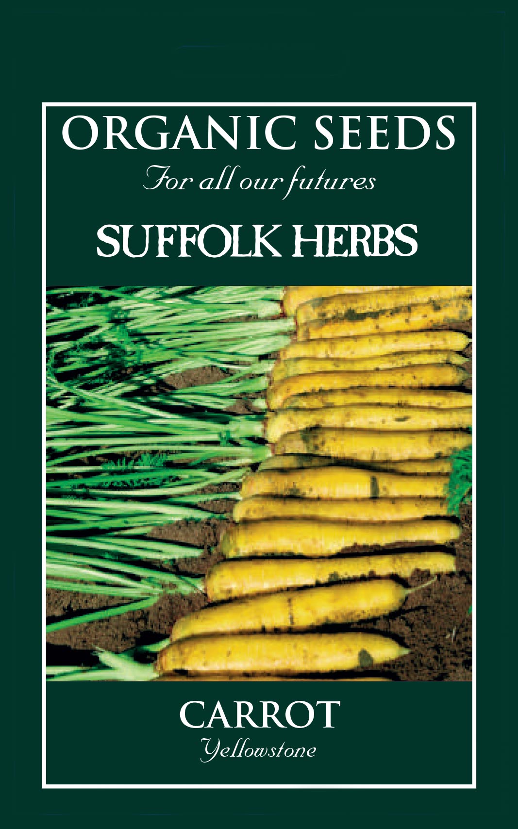 Carrot - Yellowstone F1 - Organic Seeds