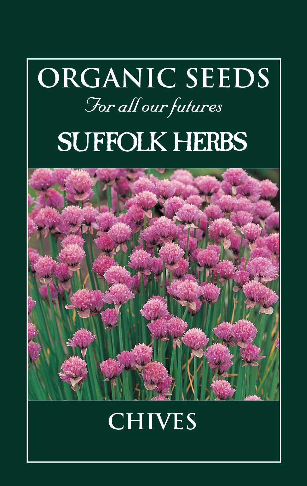 Chives Organic Seeds- Allium Schoenoparsum