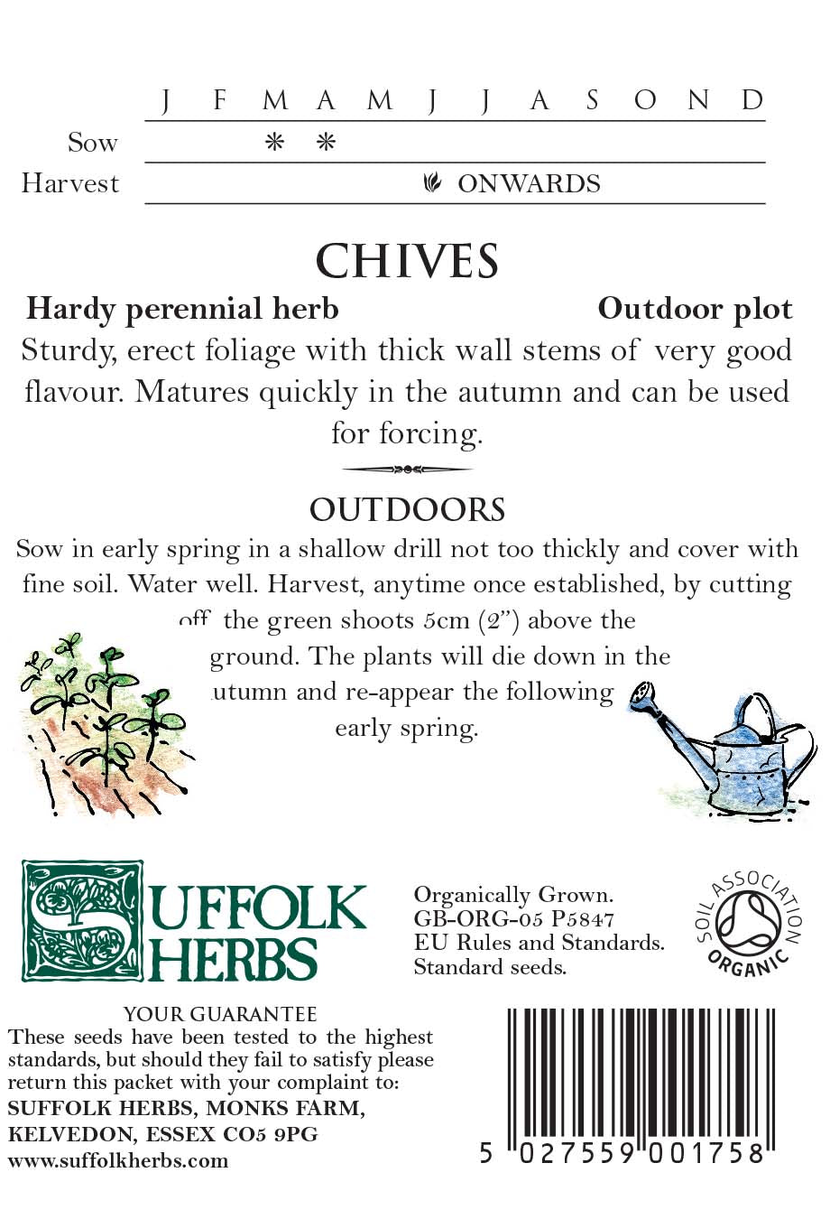 Chives Organic Seeds- Allium Schoenoparsum