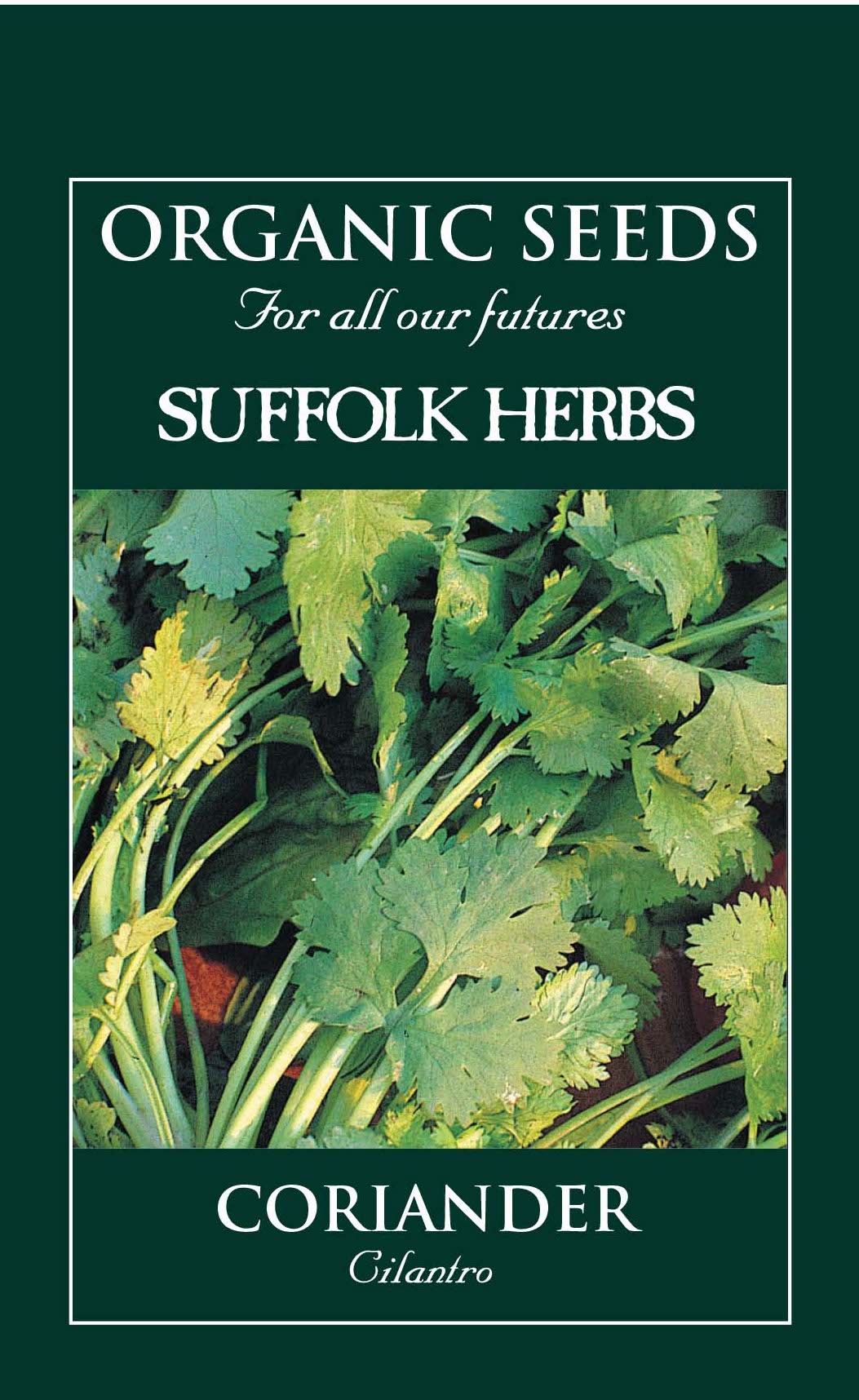 Coriander Cilantro Organic Seeds - Coriandrum Sativum