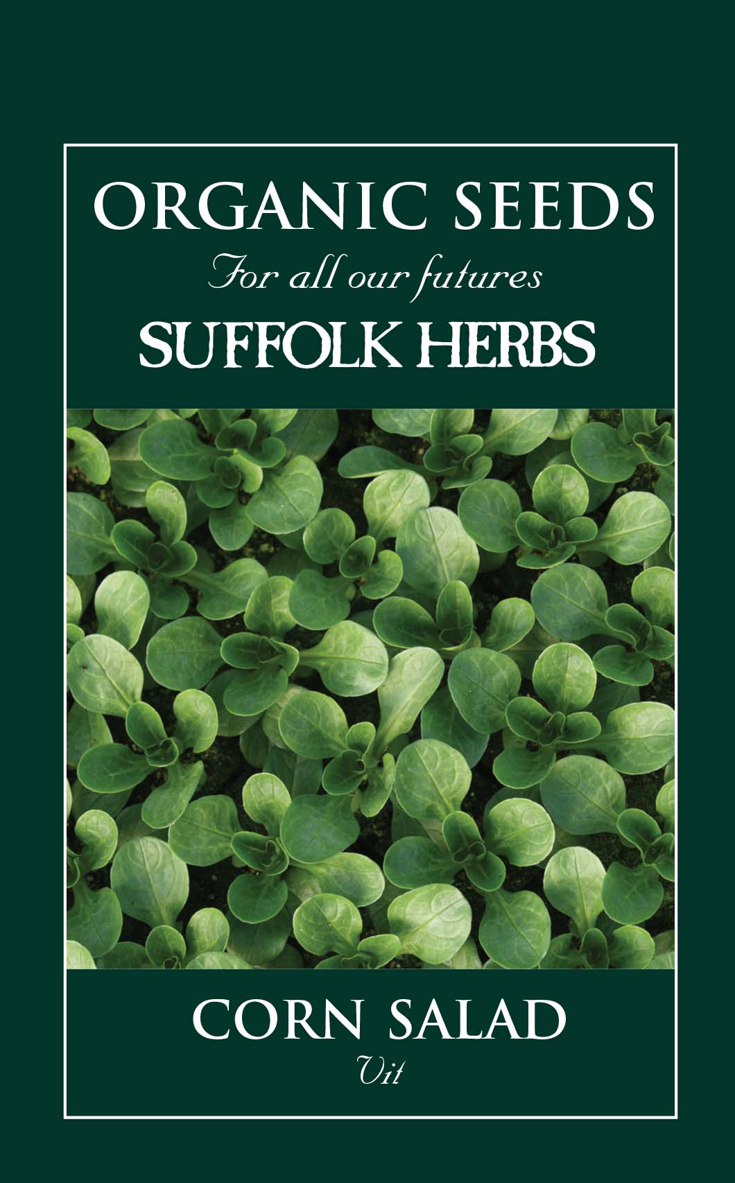 Corn - Salad Vit - Organic Seeds