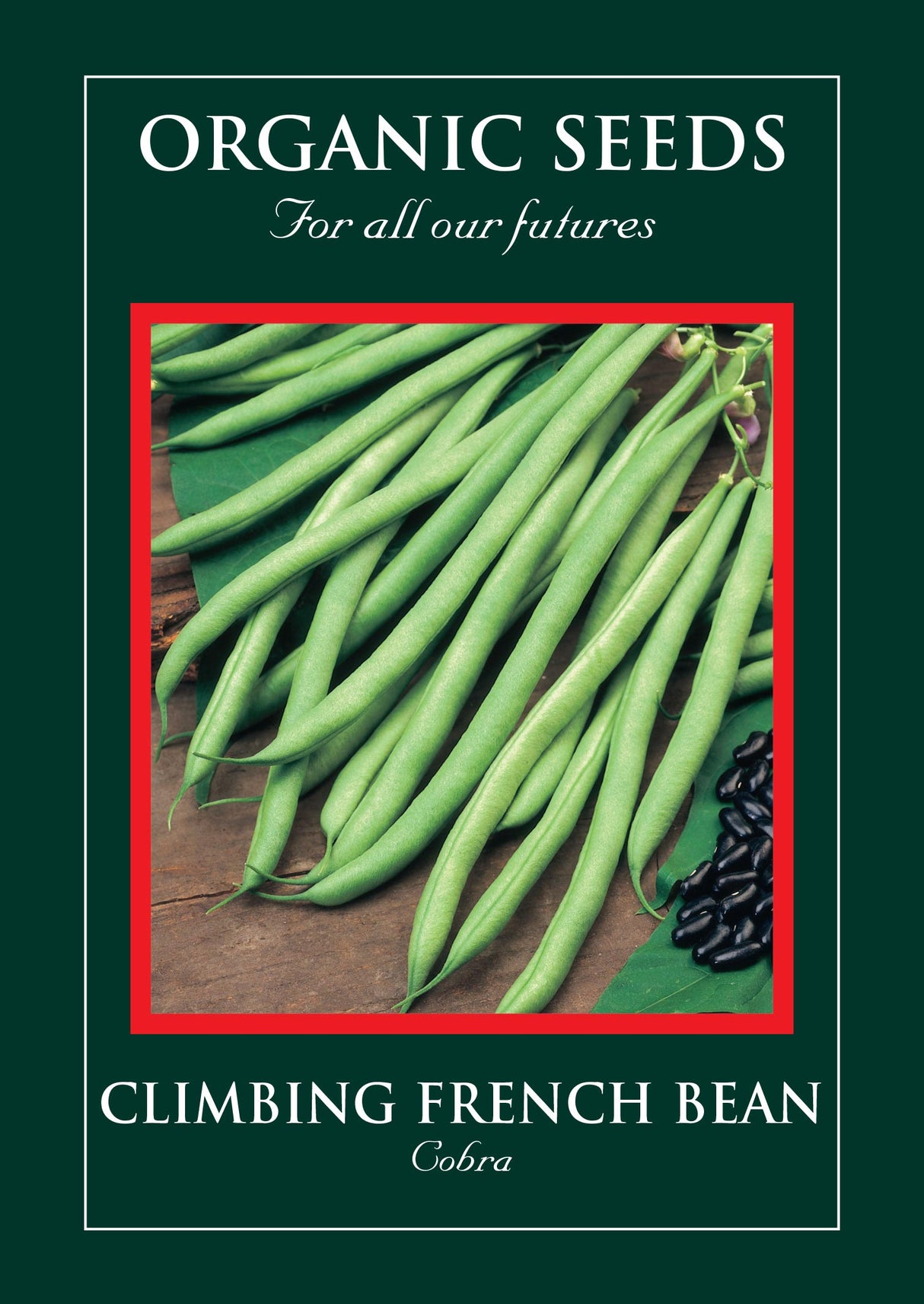 Climbing French Bean Organic Seeds - Cobra -