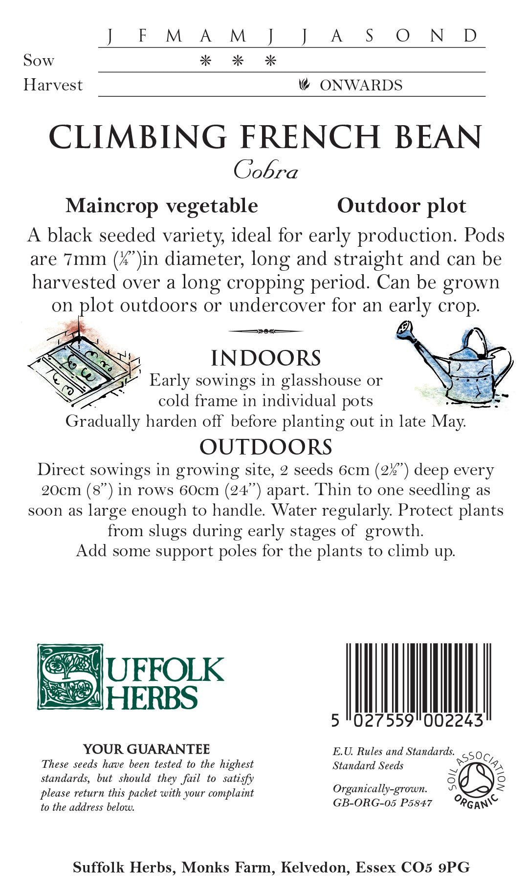 Climbing French Bean Organic Seeds - Cobra -