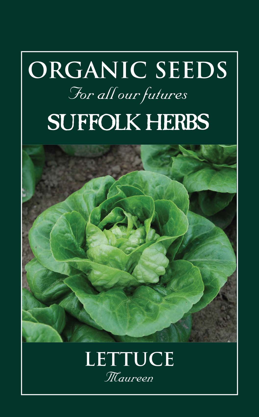 Lettuce Organic Seeds - Maureen (Little Gem Type)