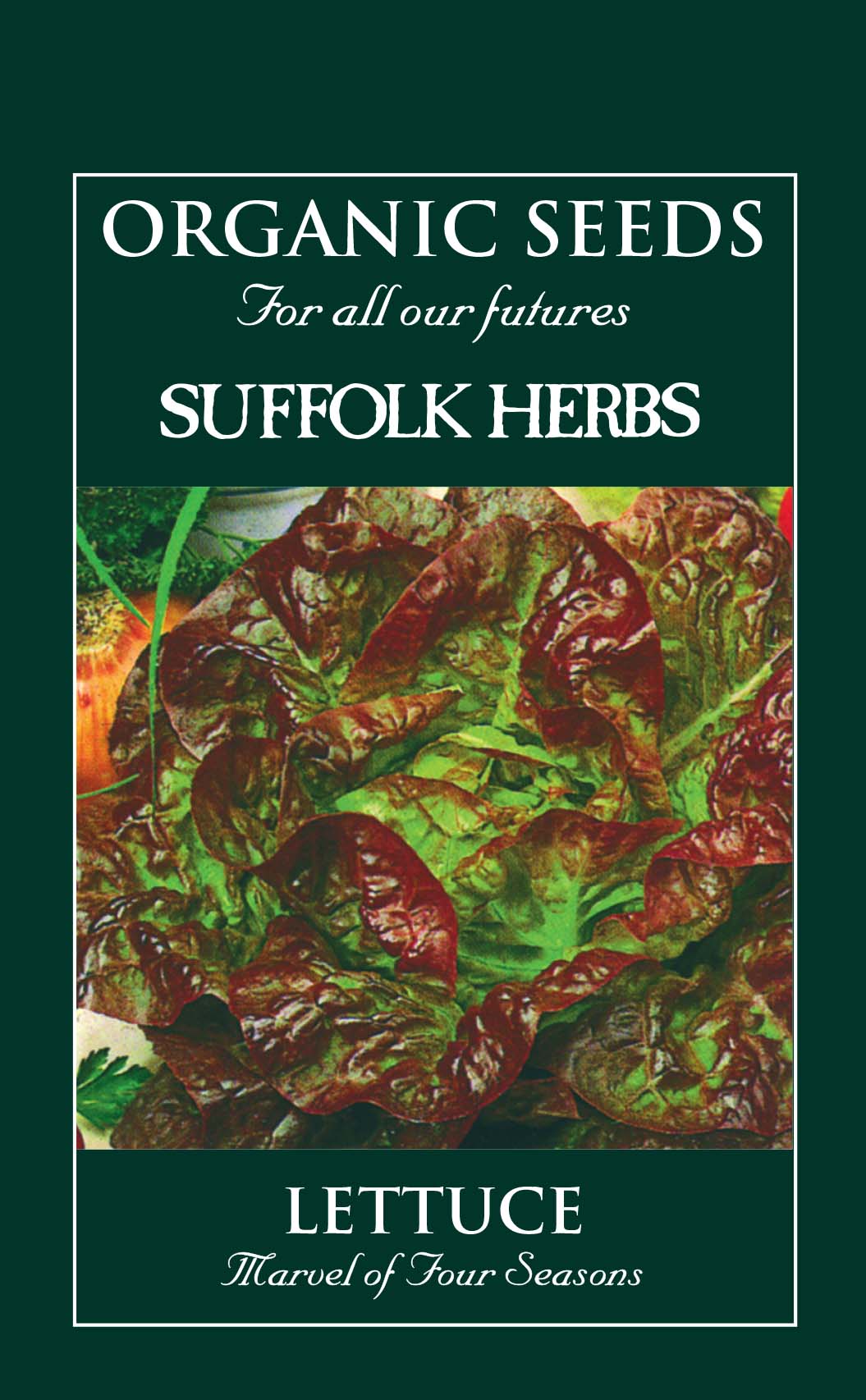 Lettuce Organic Seeds - Marvel of Four Season