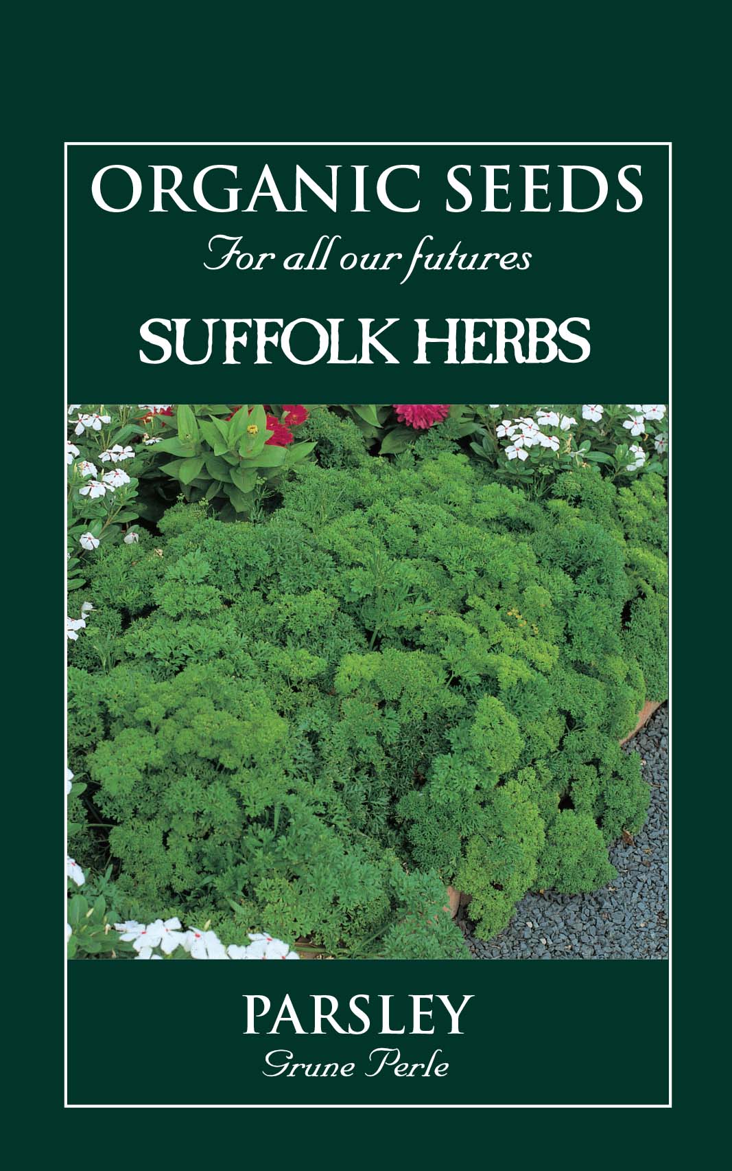 Parsley Organic Seeds - Grune Perle