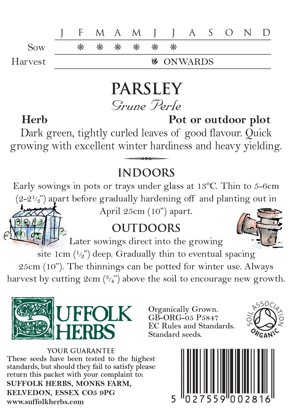 Parsley Organic Seeds - Grune Perle