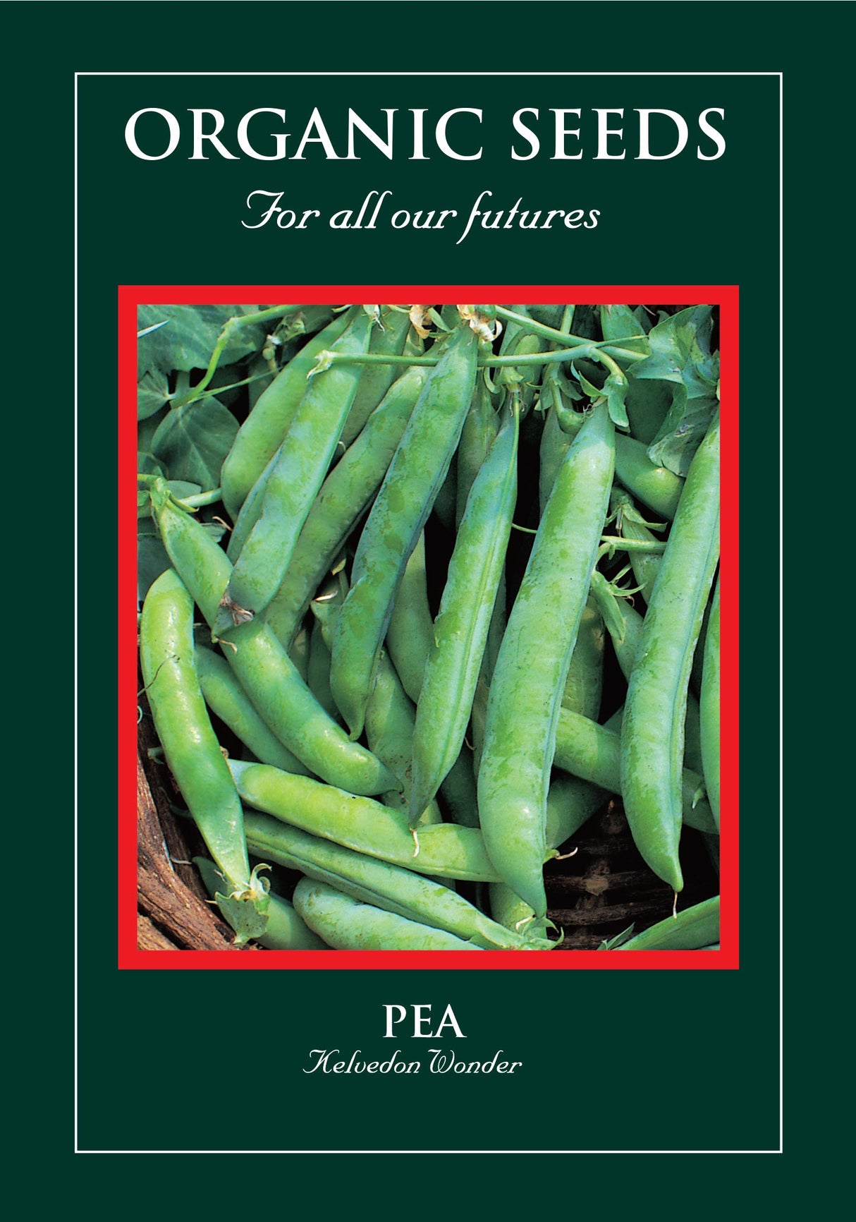 Pea Organic Seeds - Kelvedon Wonder