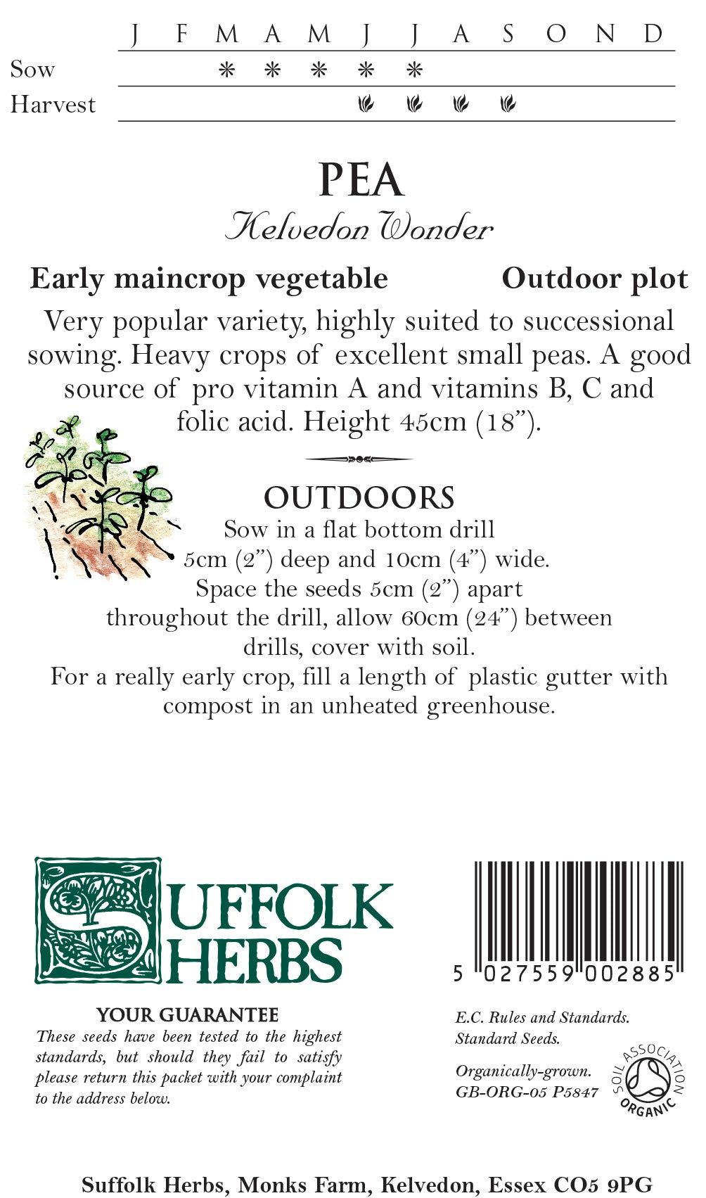 Pea Organic Seeds - Kelvedon Wonder