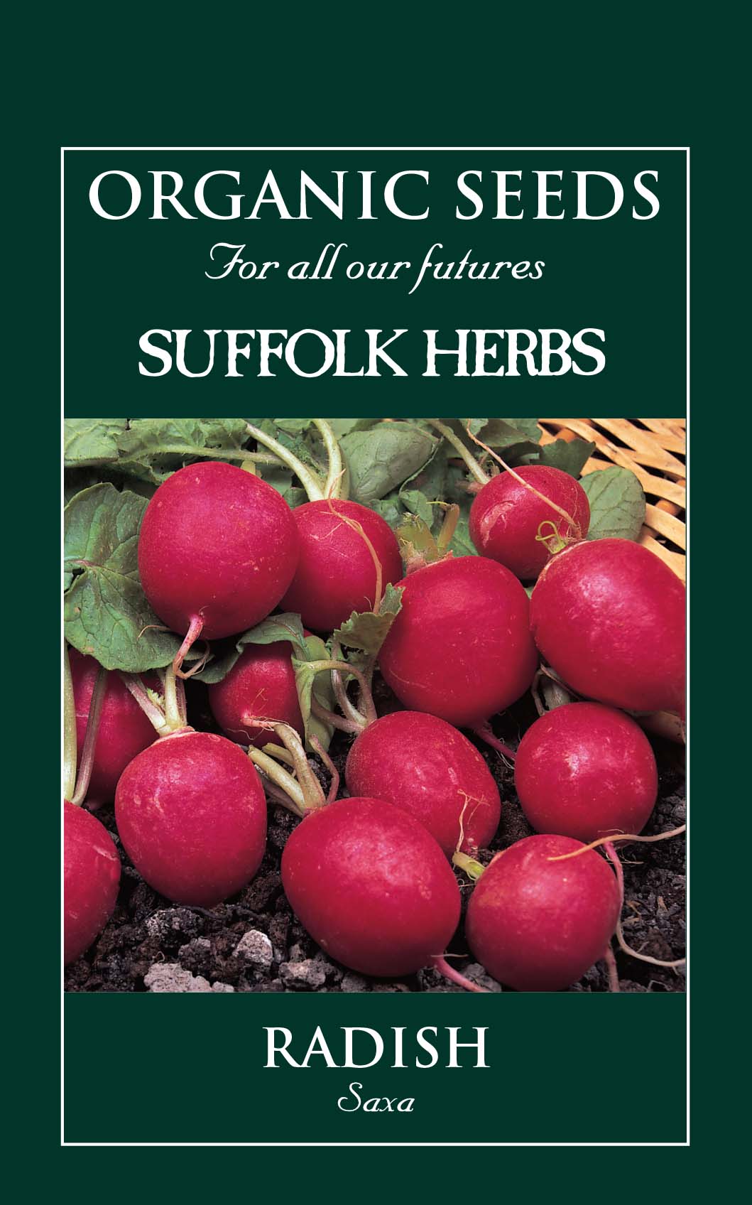 Radish Organic Seeds - Saxa