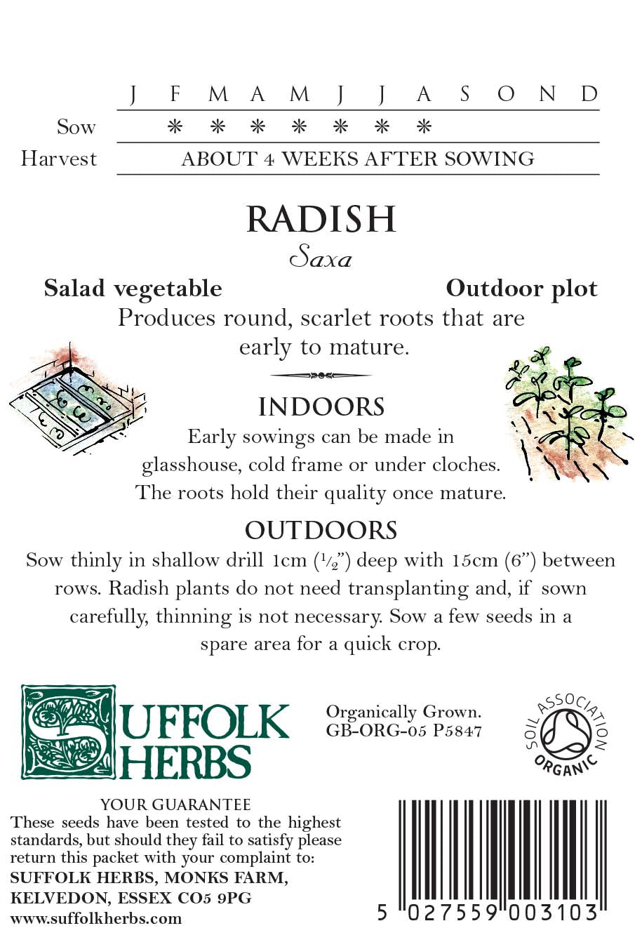 Radish Organic Seeds - Saxa