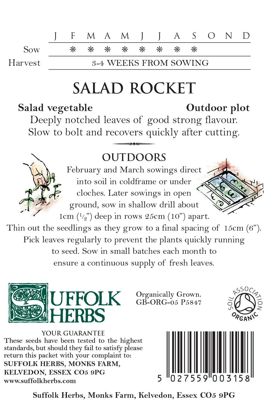 Rocket Organic Seeds - Salad
