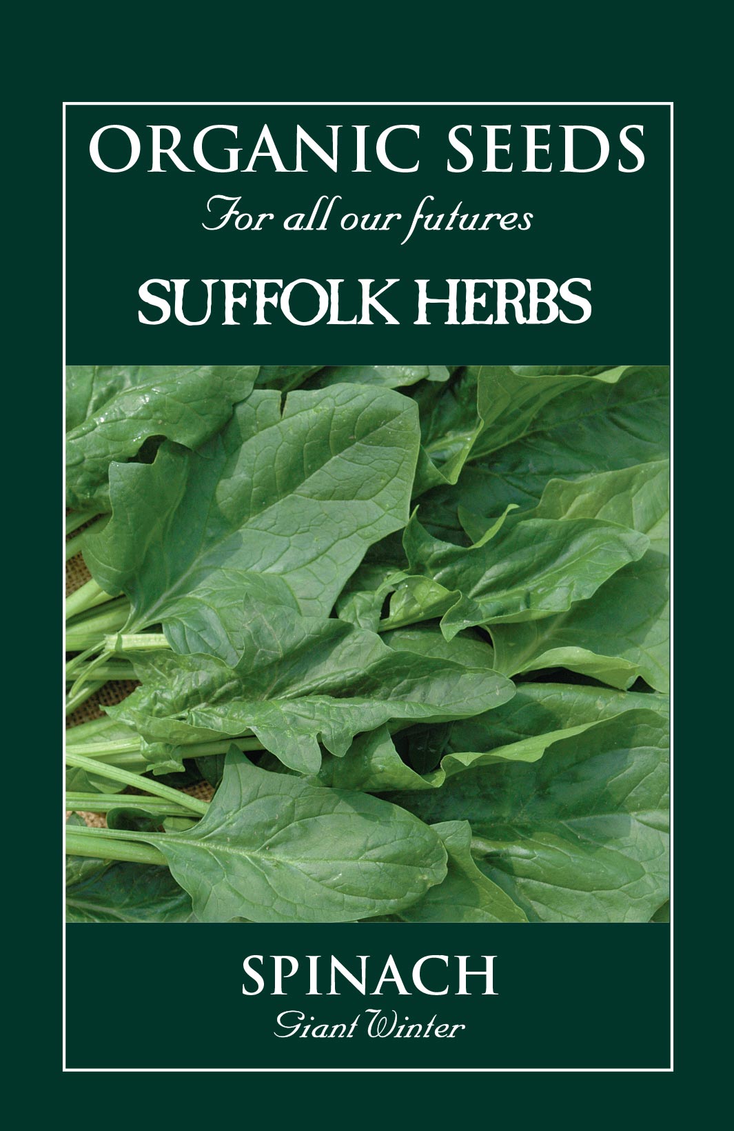 Spinach Organic Seeds - Giant Winter