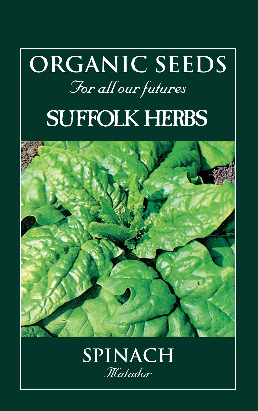 Spinach Organic Seeds - Matador