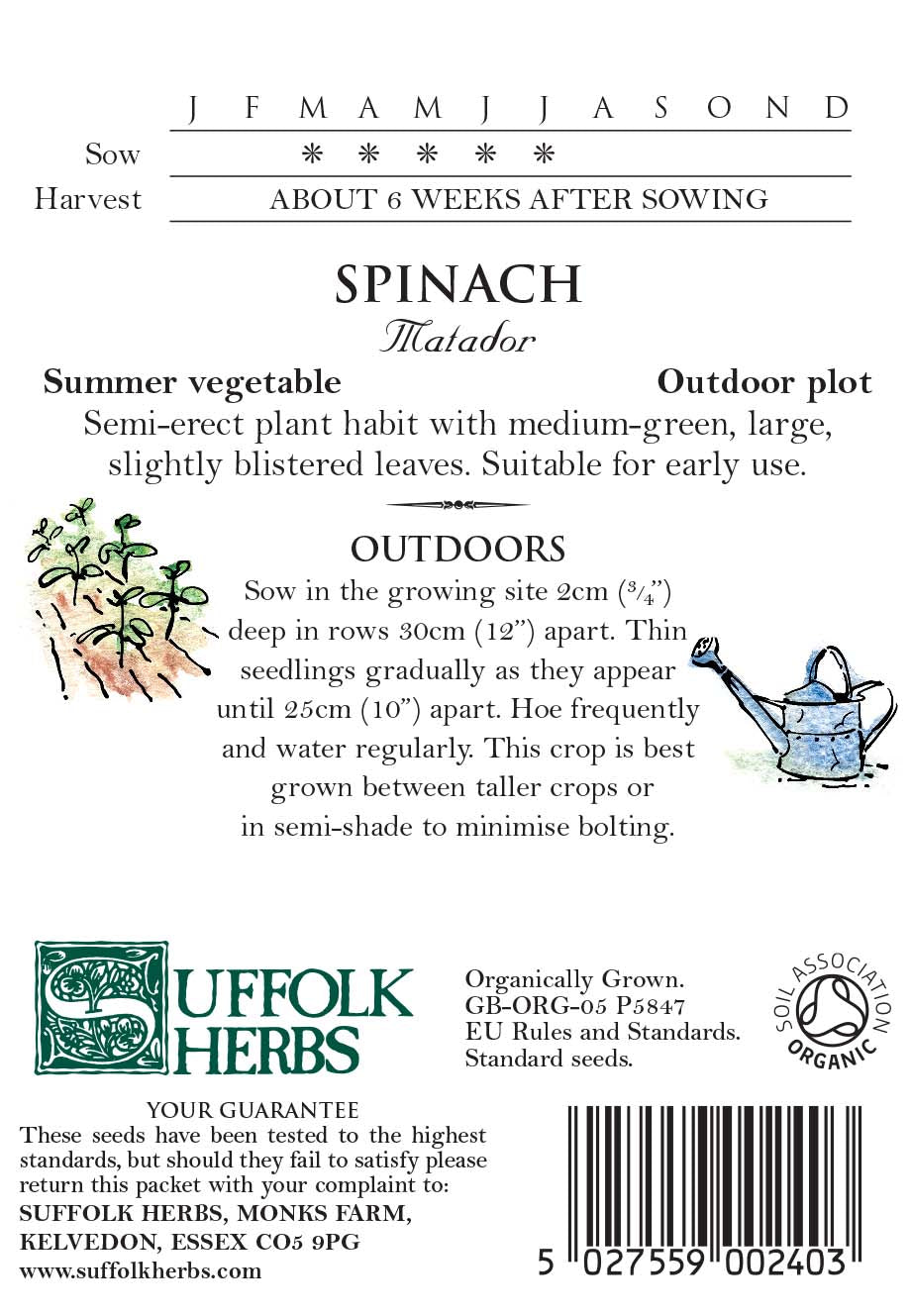 Spinach Organic Seeds - Matador