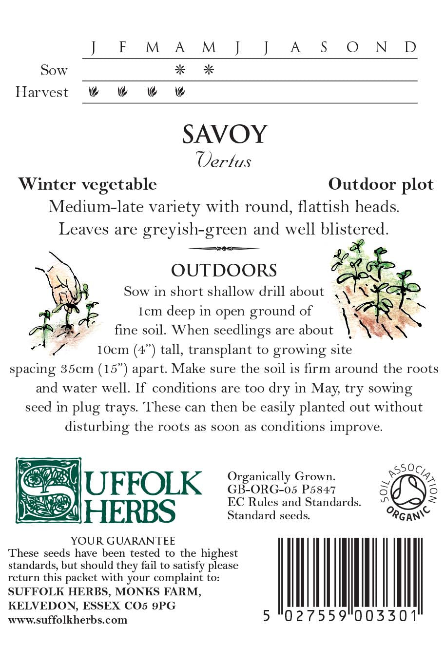 Savoy Organic Seeds - Vertus