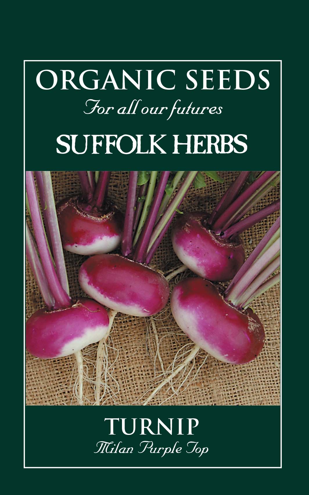 Turnip Organic Seeds - Milan Purple