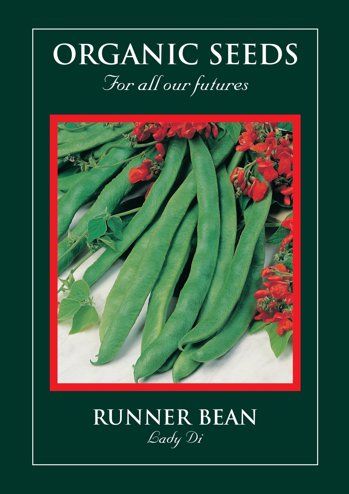 Runner Bean Organic Seeds - Lady DI