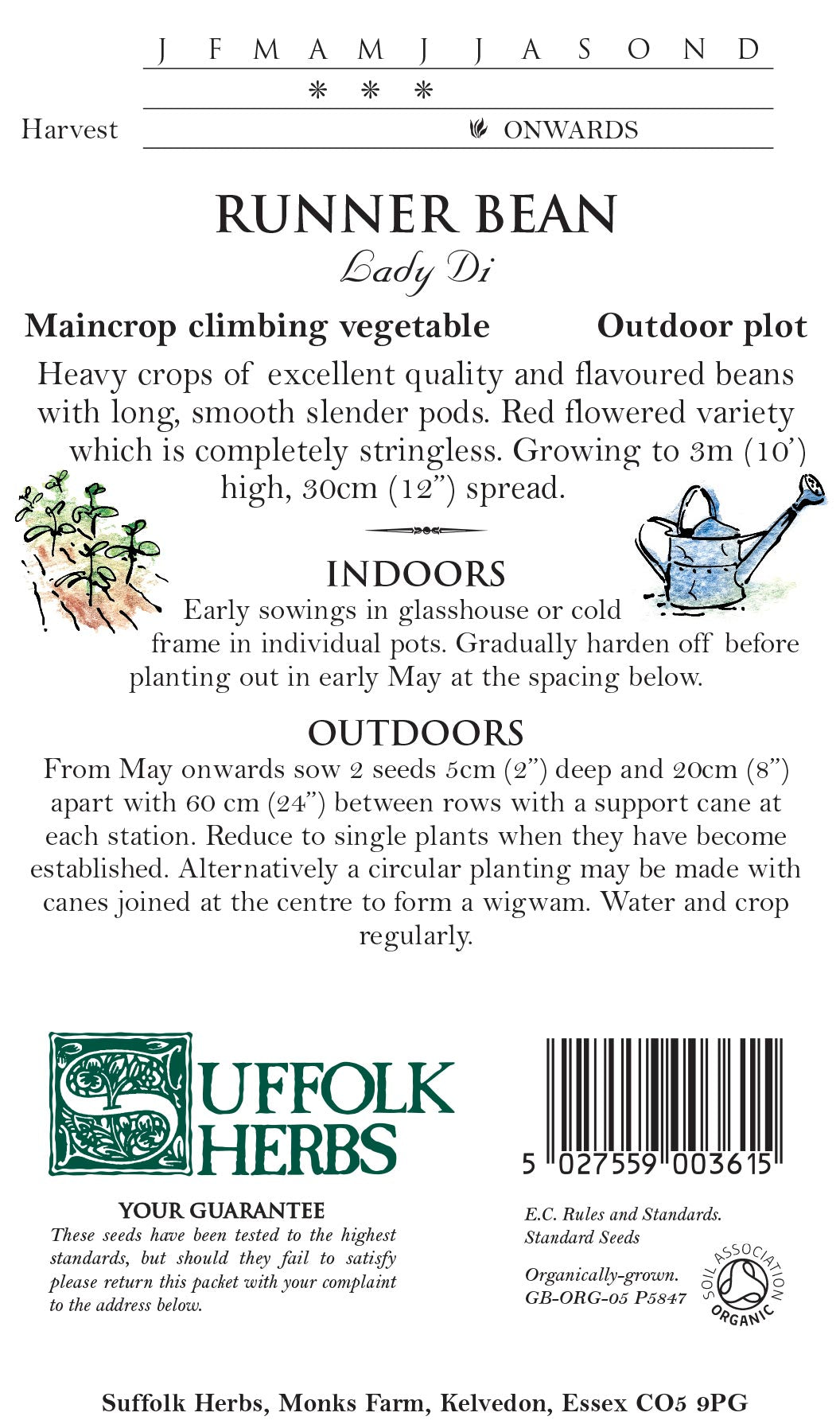 Runner Bean Organic Seeds - Lady DI