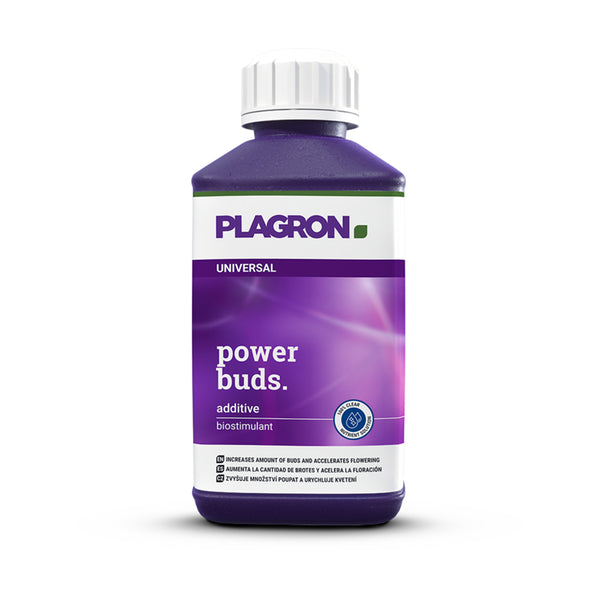 Plagron Power Buds