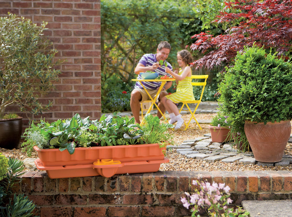 Hozelock - Flower and Vegetable Waterer