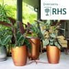 Khloris Watering System – Automatic Gravity Irrigation System for indoor plants