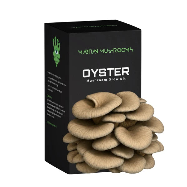 Blue Oyster 1.6kg – Easy Home Mushroom Growing Kit