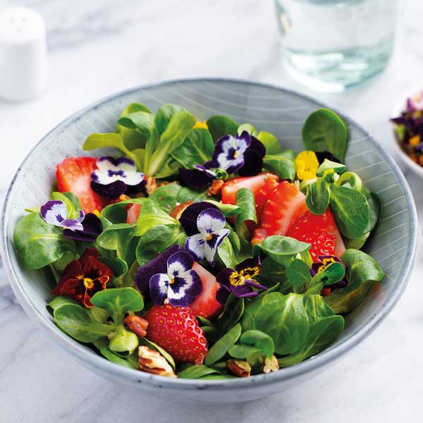 Edible Flower Collection Pack