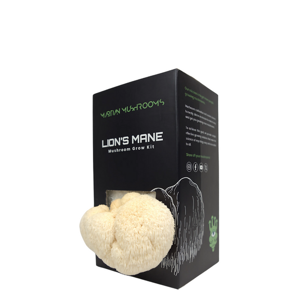 Lion’s Mane 1.6kg – Easy Home Mushroom Growing Kit