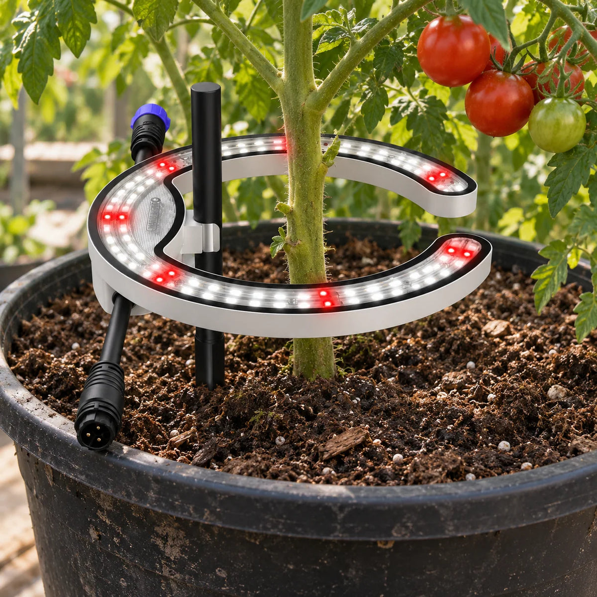 Maxibright MaxiLED PRO TS (40W) – Under-Canopy LED for Better Lower-Leaf Light