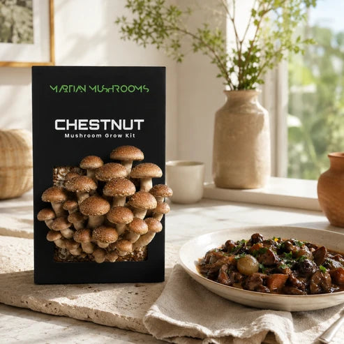 Speckled Chestnut 1.6kg – Easy Home Mushroom Growing Kit