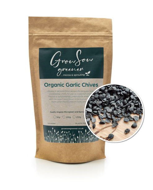 Organic Garlic Chives | Chinese Leek | Microgreen
