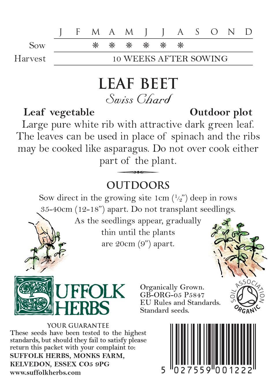 Beetroot (Beta Vulgaris) Swiss Chard Organic Seeds