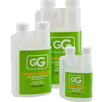 Grow Genius - Mono Sicilic