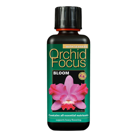 Orchid Focus Grow & Bloom