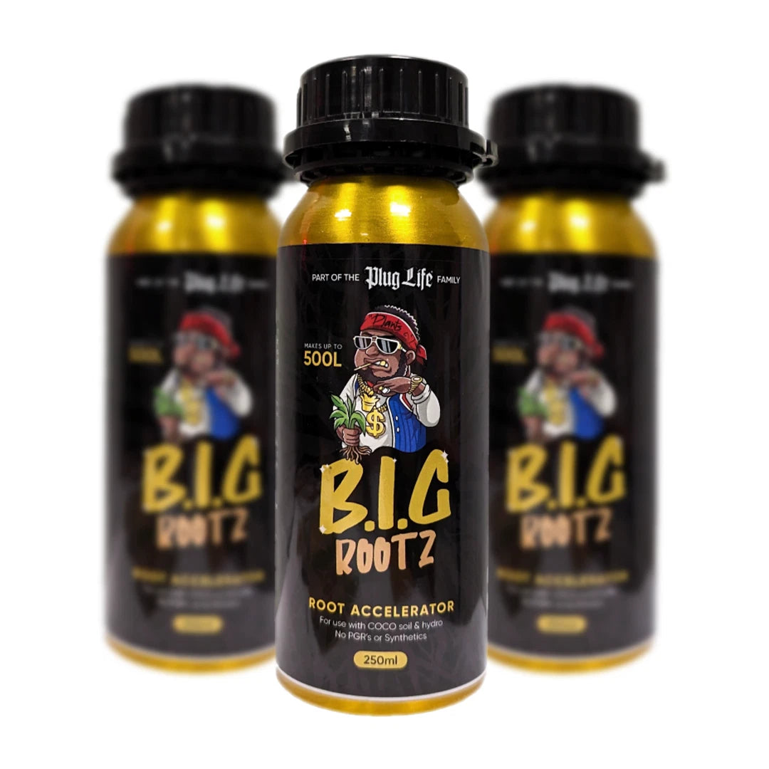 Plug Life B.I.G Rootz 250ml x 6 bottle bundle