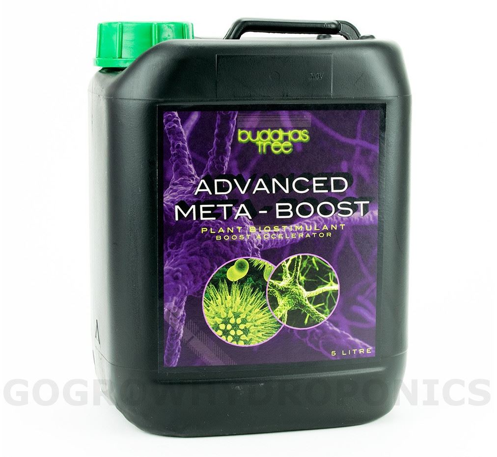 Buddhas Tree - Advanced Meta Boost