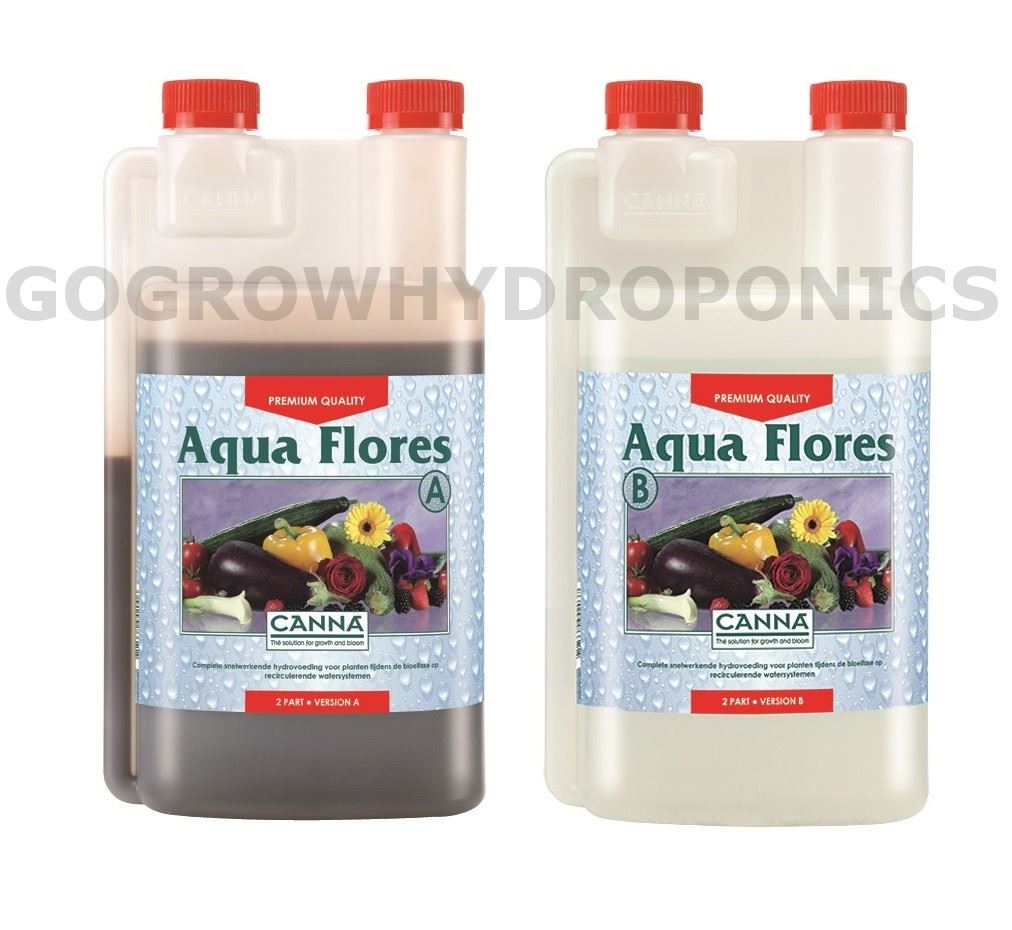 Canna - Aqua Flores A & B