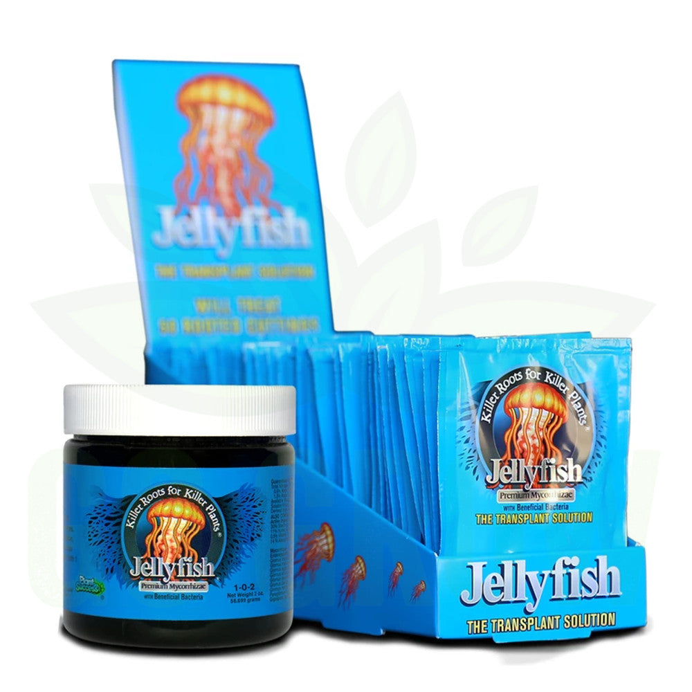 Plant Success - Jellyfish