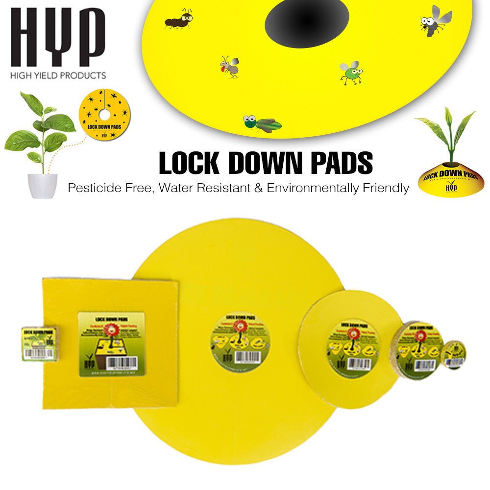 HYP Lockdown Round 12" Round (pack of 5)