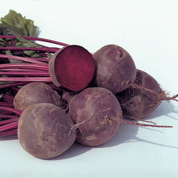 Beetroot Boro Organic Seeds