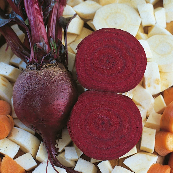 Beetroot (Beta Vulgaris) Detroit Organic Seeds