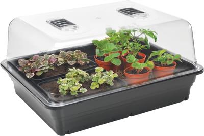 Stewarts - Heated Propagator
