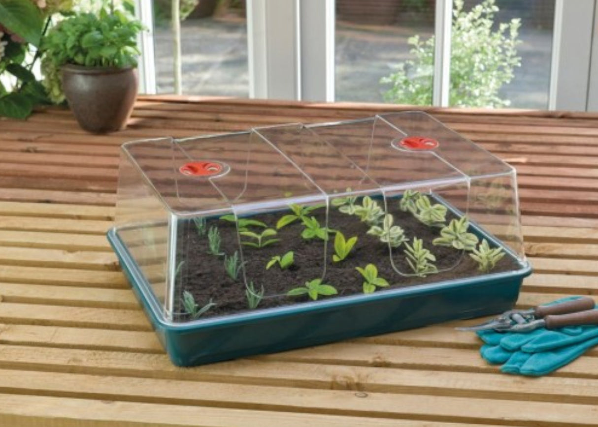 Garland High Dome Propagators